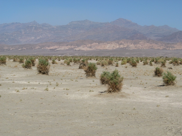 Description: Description: Description: Description: C:\JD Stuff\Web Documents\southwest\death_valley24.jpg