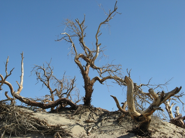 Description: Description: Description: Description: C:\JD Stuff\Web Documents\southwest\death_valley25.jpg