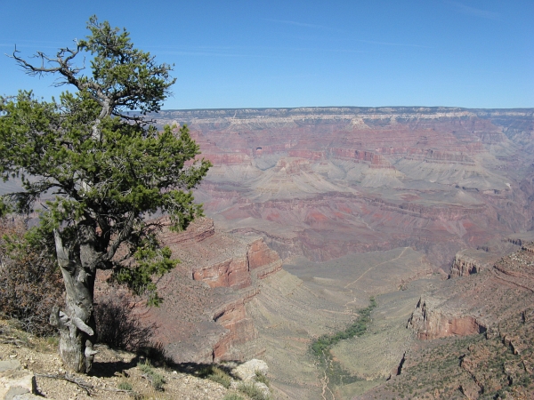 Description: Description: Description: C:\JD Stuff\Web Documents\southwest\grand_canyon8.jpg