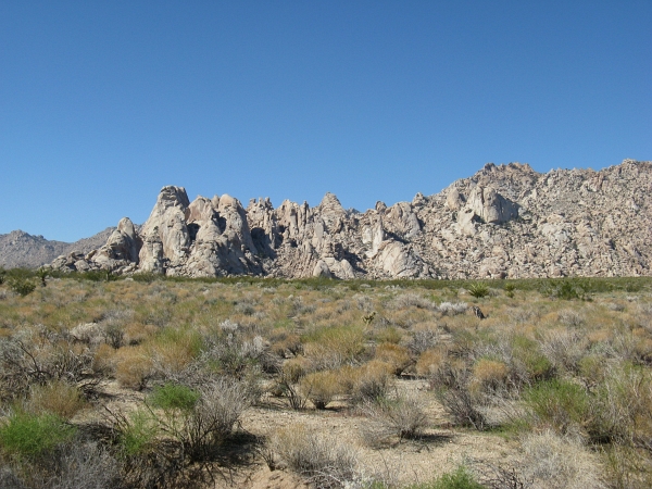 Description: Description: C:\JD Stuff\Web Documents\southwest\mojave20.jpg