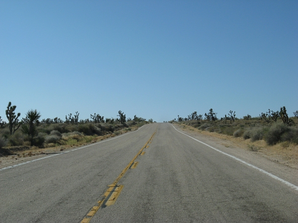 Description: Description: C:\JD Stuff\Web Documents\southwest\mojave9.jpg