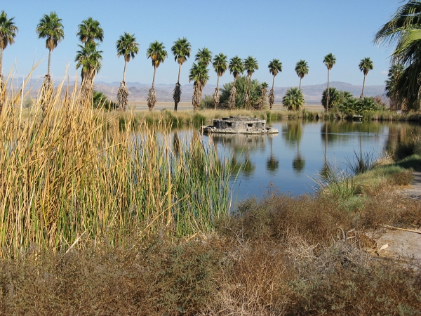 Description: C:\JD Stuff\Web Documents\southwest\zzyzx1.jpg